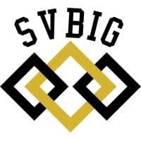 SVBIG